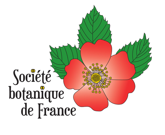logo-SBF